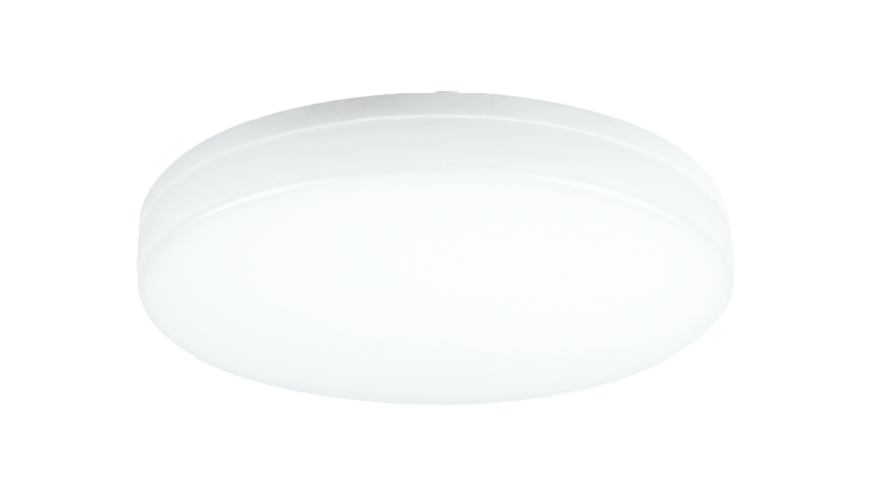 White round object on a white background