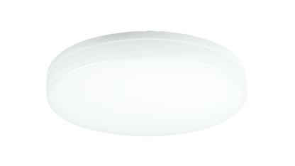 White round object on a white background
